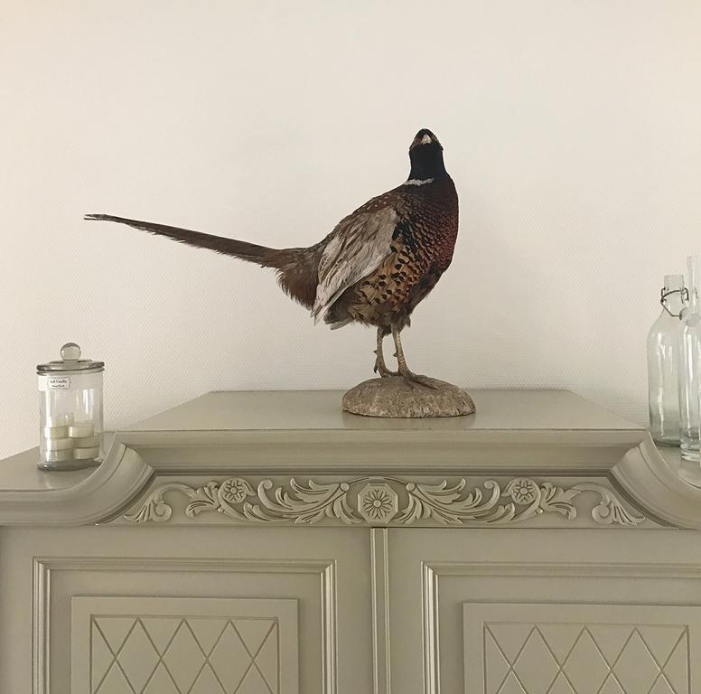 Vita Huset B&B Soelvesborg Экстерьер фото